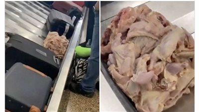 لحم دجاج نيئ بين حقائب المسافرين بمطار أمريكي (صورة)