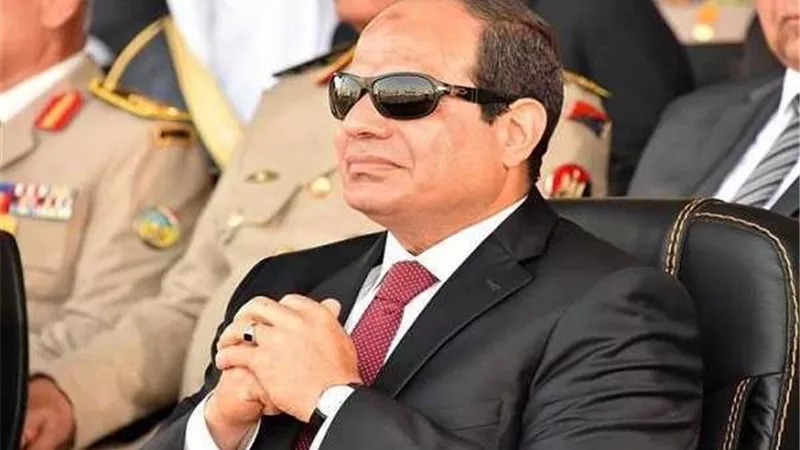 السيسي يلتقي رئيس الصندوق الدولي للتنمية الزراعية