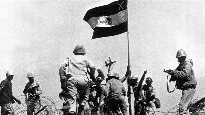 بالفيديو| 