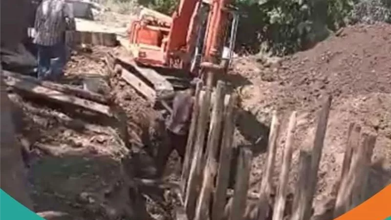 بالصور | 