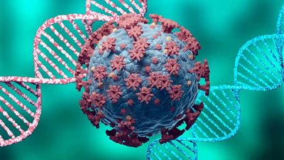 مسؤول في منظمة 