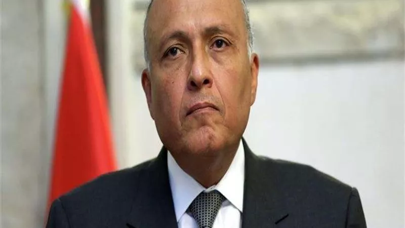 وزير الخارجية يبحث مستجدات الوضع في ليبيا مع مبعوث الأمم المتحدة