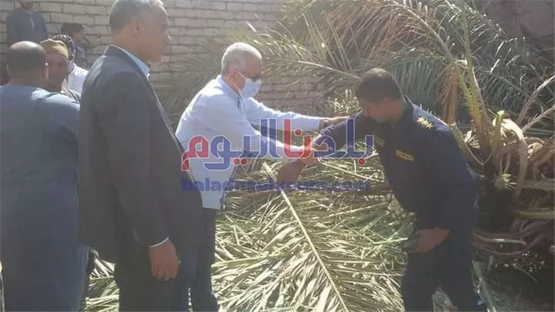 بالصور| لا إصابات في حريق نشب في 15 نخلة ببني سويف