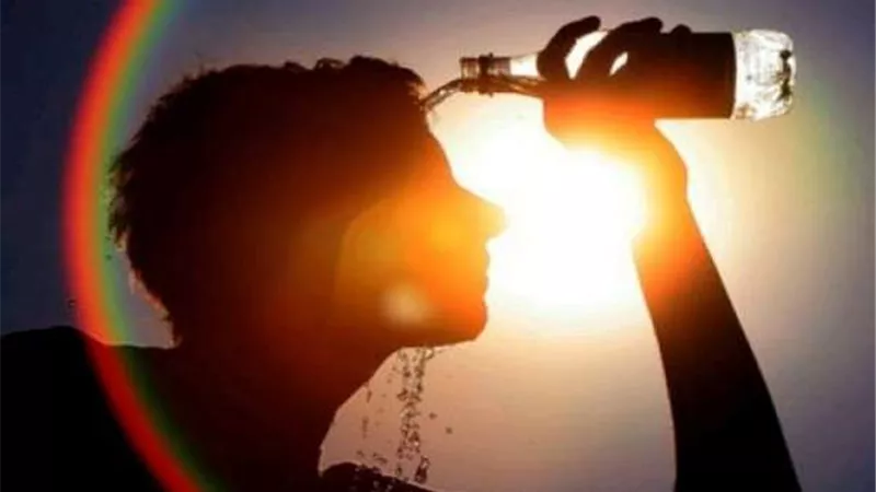 حار على القاهرة والوجه البحري.. الأرصاد تٌعلن تفاصيل طقس غدًا السبت