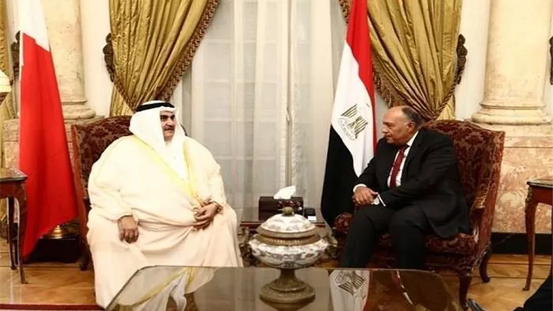 شكري يستقبل نظيره البحريني‫ على هامش اجتماع الجامعة العربية الطارئ