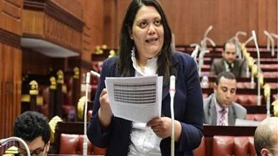مارسيل سمير: قانون المشروعات الصغيرة أمر جيد لأصحابها وعلى رأسهم المرأة