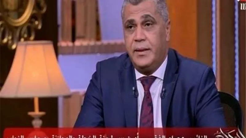 برلماني: قانون الجمارك الجديد سيقضي على مافيا التهريب