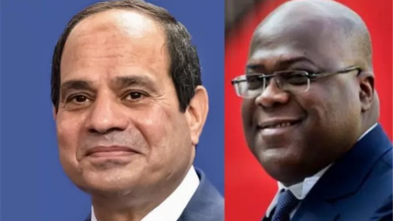 الرئيس السيسي ونظيره الكونغولي يتبادلان الرؤى بشأن أبرز القضايا الأفريقية