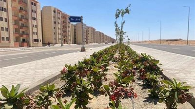 بالصور | 