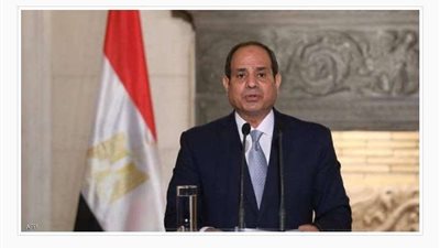 الرئيس السيسي يوجه بالتوسع في مشروع إنتاج البذور محليا