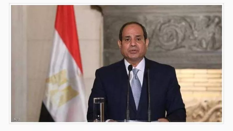 الرئيس السيسي يوجه بالتوسع في مشروع إنتاج البذور محليا