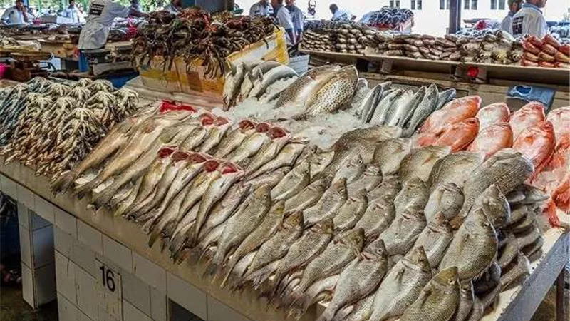 ضبط طن أسماك غير صالحة للاستهلاك الآدمي بالقليوبية
