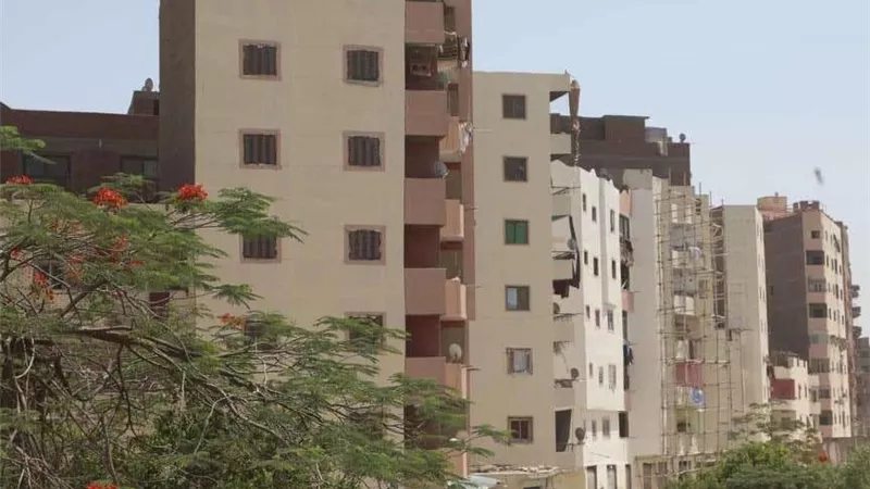 محافظ الجيزة: الانتهاء من طلاء 1600 عقار بالطريق الدائري كمرحلة أولى