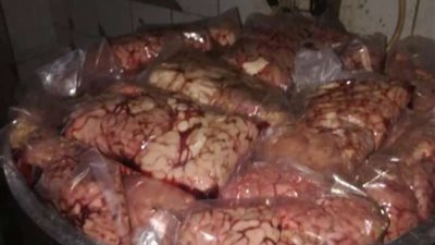 الصحة: ضبط وإعدام 1462 طن أغذية متنوعة ولحوم فاسدة  بـ 6 محافظات