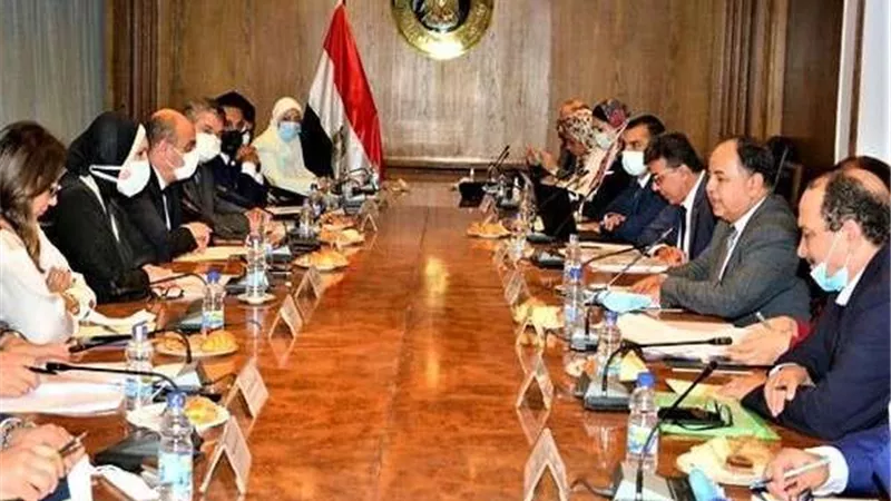 وزيرا التجارة والمالية يبحثان تنفيذ مبادرة تحفيز الصناعة المصرية