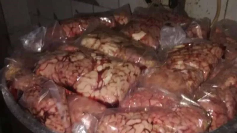 الصحة: ضبط وإعدام 1462 طن أغذية متنوعة ولحوم فاسدة  بـ 6 محافظات