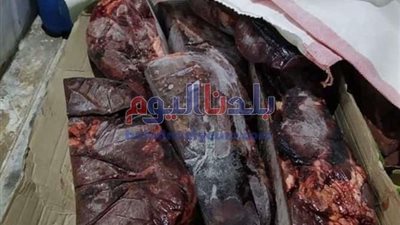 ضبط أكثر من 3 طن كبدة ودواجن مجهولة المصدر بالقاهرة