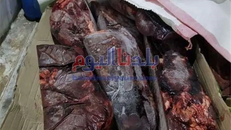 ضبط أكثر من 3 طن كبدة ودواجن مجهولة المصدر بالقاهرة