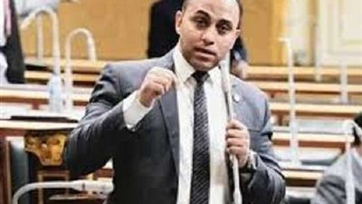 تعيين سعد بدير مساعدا لرئيس الوفد لشئون المجالس البرلمانية