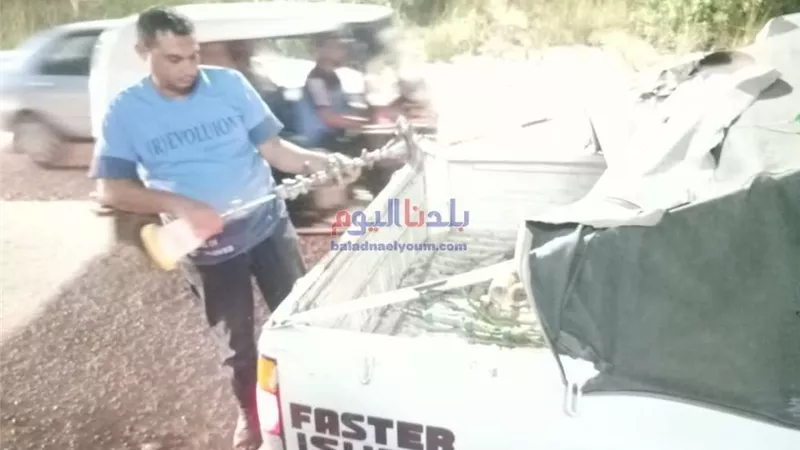 إزالة 386 إشغال طريق في دمنهور.. تفاصيل