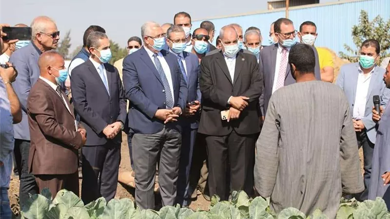 وزير الزراعة ومحافظ الغربية يتفقدان حقل خضر بالري الحديث