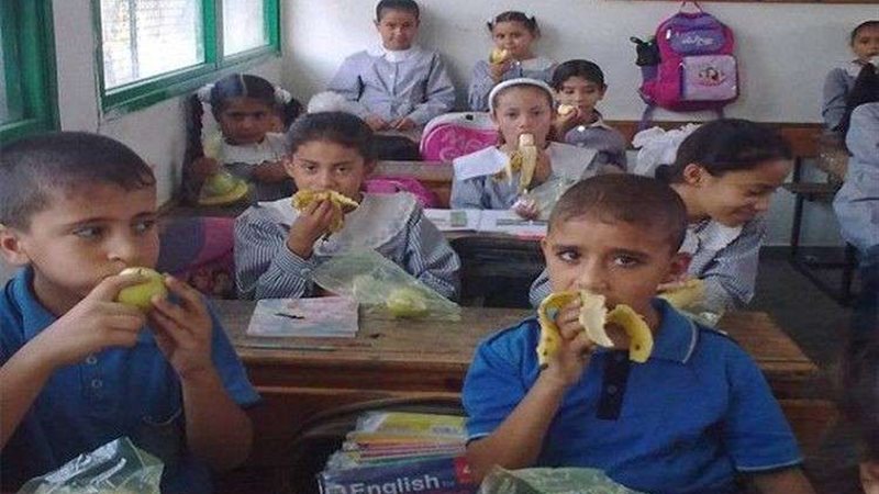بلدنا اليوم