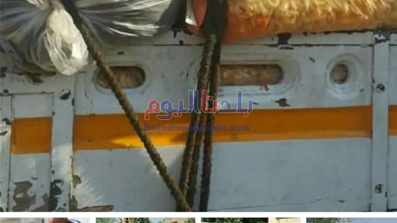 بينهم محضر أمن دولة طوارئ.. صحة بني سويف تجابه الباعة الجائلين بمحيط المدارس