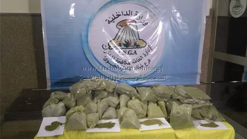 ضبط عدد من قضايا المخدرات وحيازة الأسلحة النارية بالقليوبية