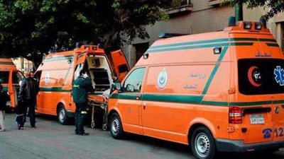 بينهم طفلة وطالبتان.. إصابة 9 أشخاص في حادث مروع بالمنوفية