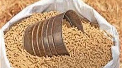 الغرفة التجارية: أسعار الأعلاف سجلت تراجعًا بـ450 جنيه عن الشهر الماضي
