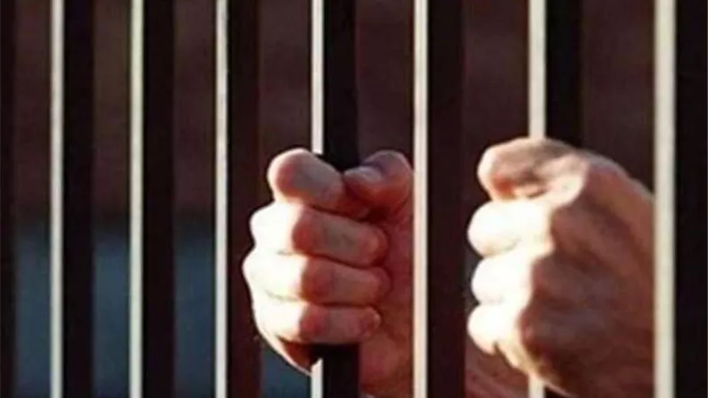 تأجيل محاكمة 84  متهما بأحدث الشغب  في قضية 