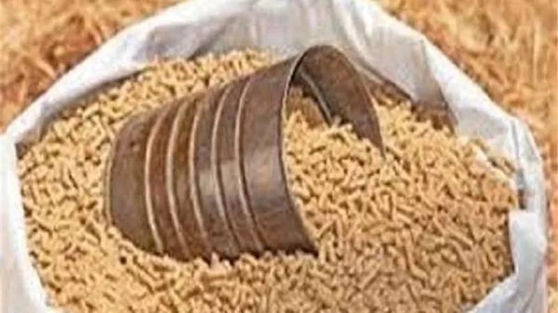 الغرفة التجارية: أسعار الأعلاف سجلت تراجعًا بـ450 جنيه عن الشهر الماضي