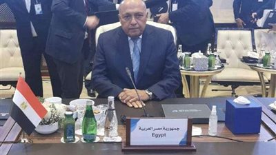 كلمة وزير الخارجية سامح شكري في مؤتمر دعم استقرار ليبيا