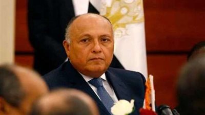 سامح شكري يلتقي نائبي رئيس المجلس الرئاسي الليبي