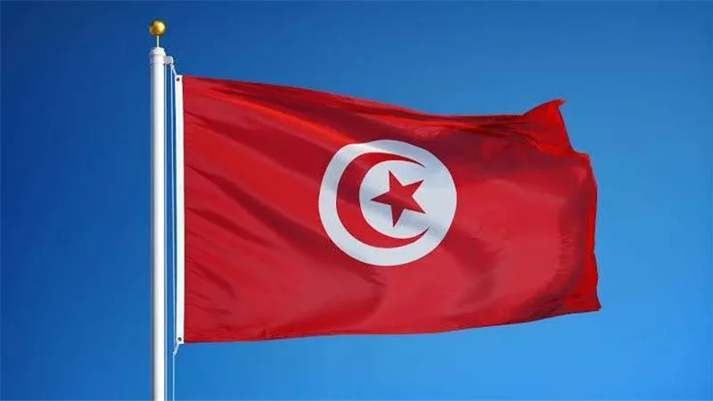 انتحار فتاة تونسية شنقاً بسبب شاب مصري .. تفاصيل