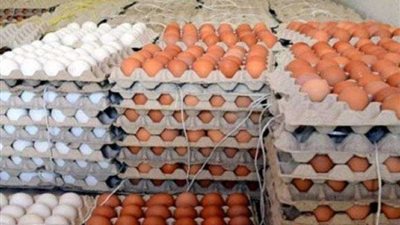 متحدث الزراعة: 