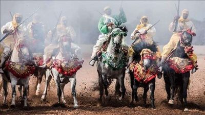 قبل احتفال مطروح بعيدها القومي.. تعرف على أهم أحداث معركة وادي ماجد