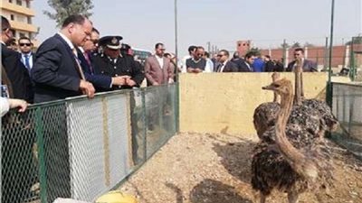 مساعدا وزير الداخلية يتفقدان معارض المنتجات الزراعية بسجن طره