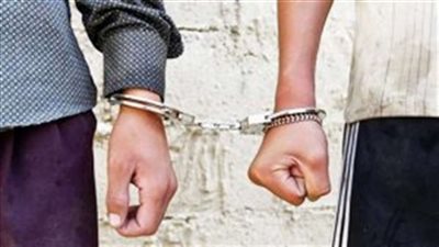 ضبط اثنين من العناصر الإجرامية بمطروح بحوزتهما 240 طربة حشيش