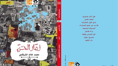 مناقشة ديوان 