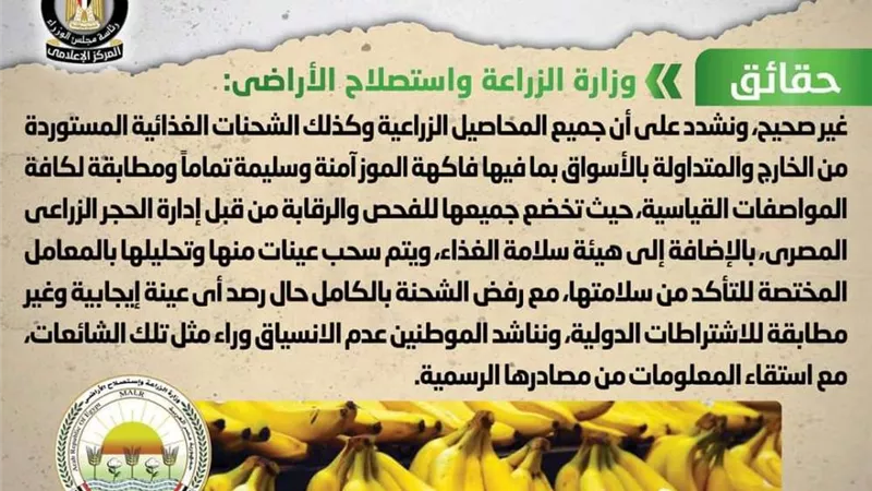 استيراد مصر شحنات فاسدة من فاكهة الموز.. الحكومة توضح الحقائق