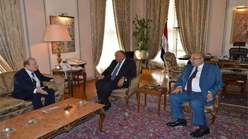 شكري يستقبل المدير التنفيذي لمؤسسة 