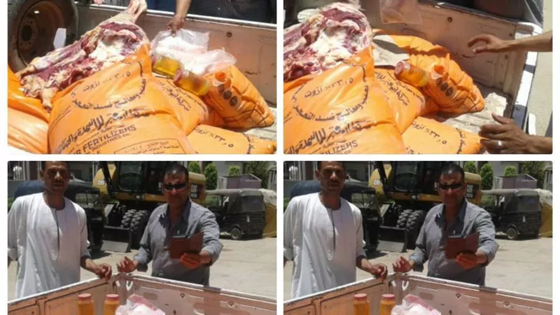 حملات تفتيشية لضبط مروجي اللحوم الفاسدة ومنتهية الصلاحية بالمنوفية