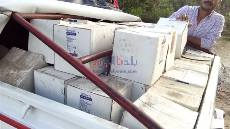 ضبط 