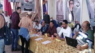 اكتمال النصاب القانونى لانتخابات نقابة المهن التمثيلية