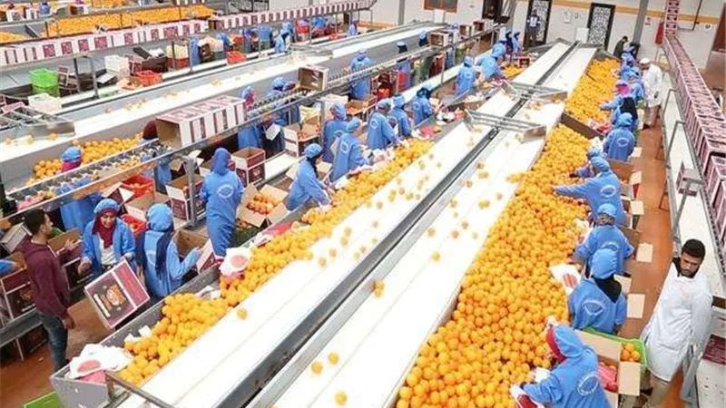9.6 مليون دولار قيمة صادرات الصناعات الغذائية المصرية للسنغال خلال 8 أشهر