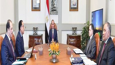 السيسي يستعرض مع الحكومة مستجدات الأوضاع الأمنية ومكافحة الإرهاب