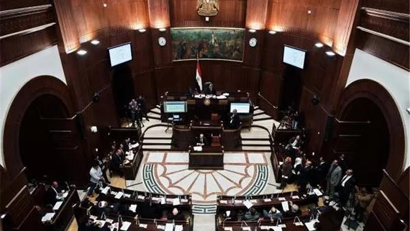 مجلس الشيوخ يناقش مشروع قانون حقوق المسنين.. اليوم