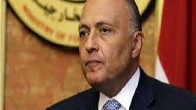 شكري يؤكد ضرورة عقد الانتخابات الليبية في موعدها