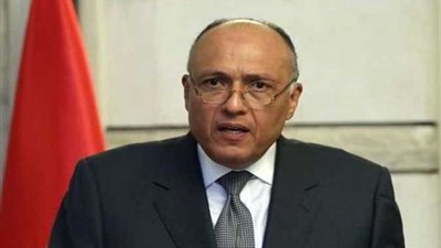 شكري: الشعب هو من يقرر نظامه السياسي والاقتصادي